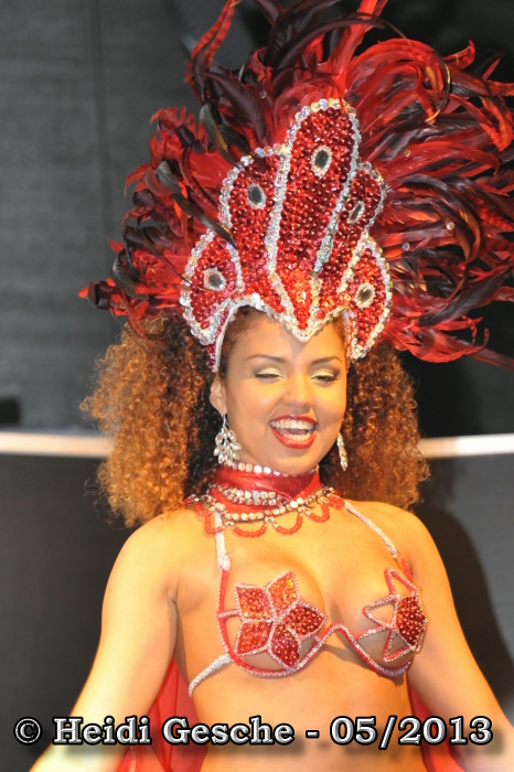 Fiesta Brasil (2).JPG